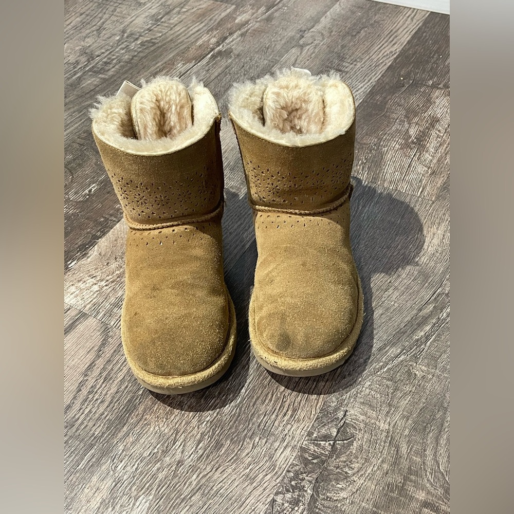 UGG Brown Ankle Boots with Shearling Lining